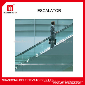 Ascenseur d&#39;étape professionnel Metro Escalator